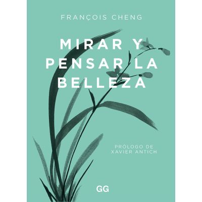 Mirar y pensar la belleza